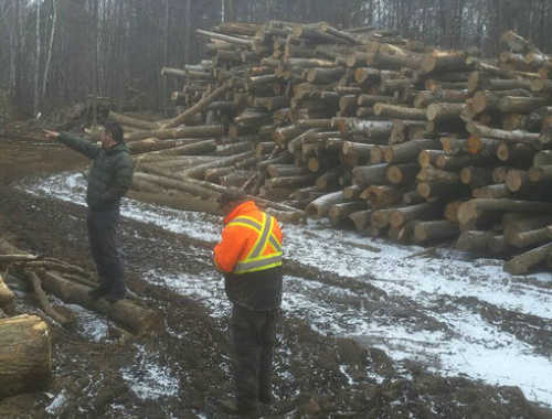 SANNOSUKE WOOD CANADA.INC.