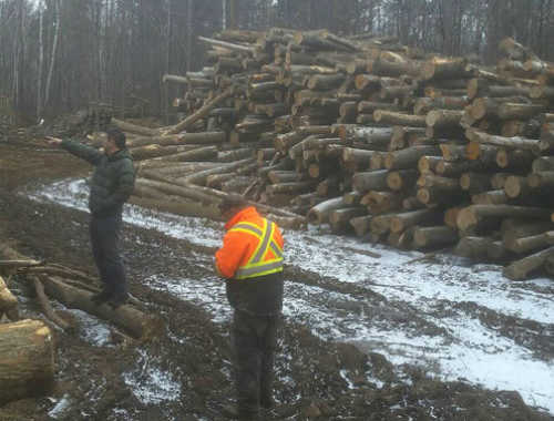 SANNOSUKE WOOD CANADA, INC.